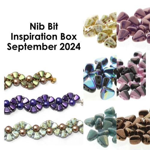 Nib Bit Inspiration Box – September 2024